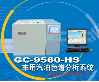 GC9560汽油含氧化合物专用气象色谱仪 气象色谱仪 色谱仪价格